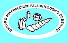 gruppo mineralogico paleontologico